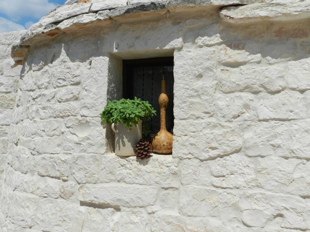 I Trulli Del Nonno Michele ξενώνας Αλμπερομπέλο Εξωτερικό φωτογραφία