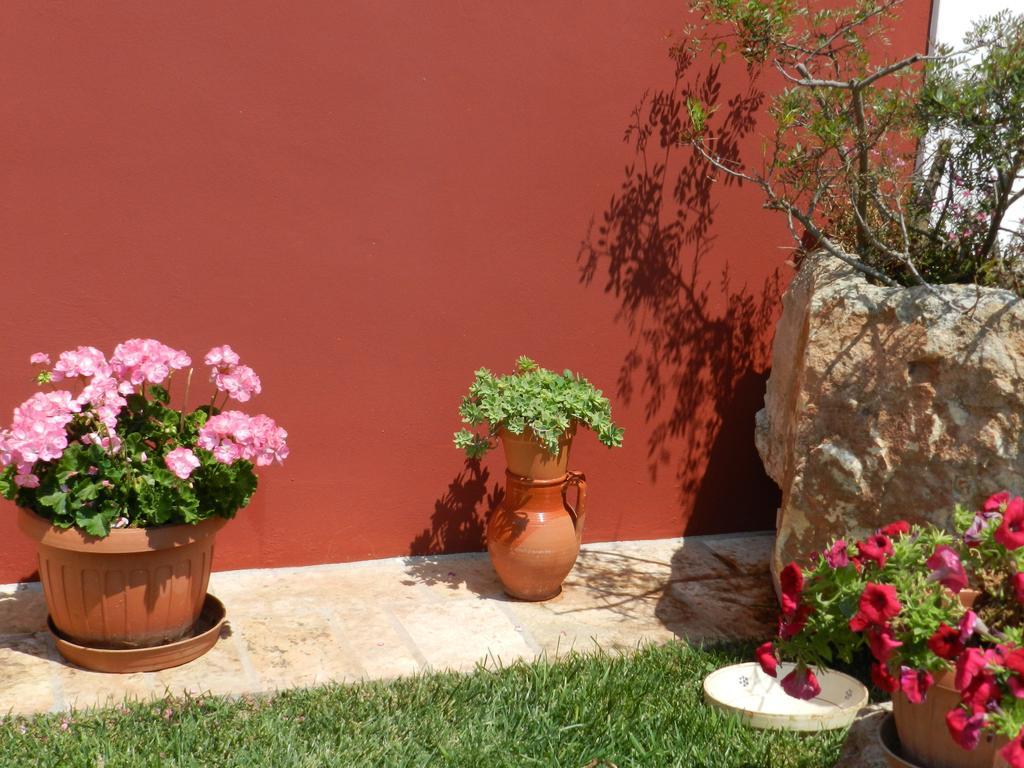 I Trulli Del Nonno Michele ξενώνας Αλμπερομπέλο Εξωτερικό φωτογραφία