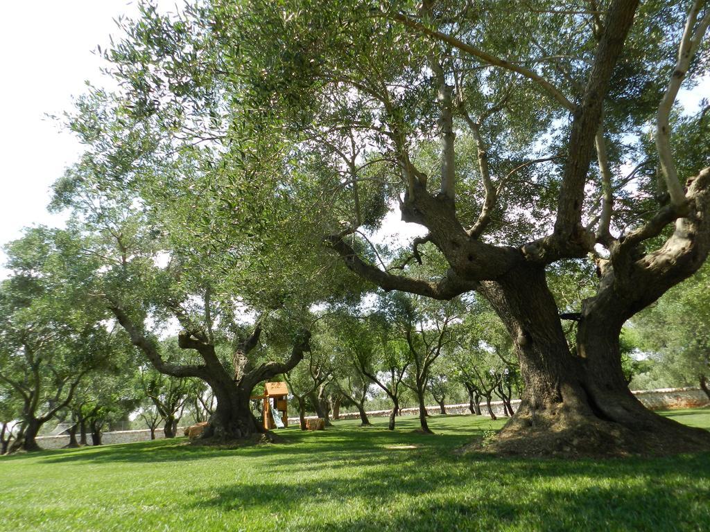 I Trulli Del Nonno Michele ξενώνας Αλμπερομπέλο Εξωτερικό φωτογραφία