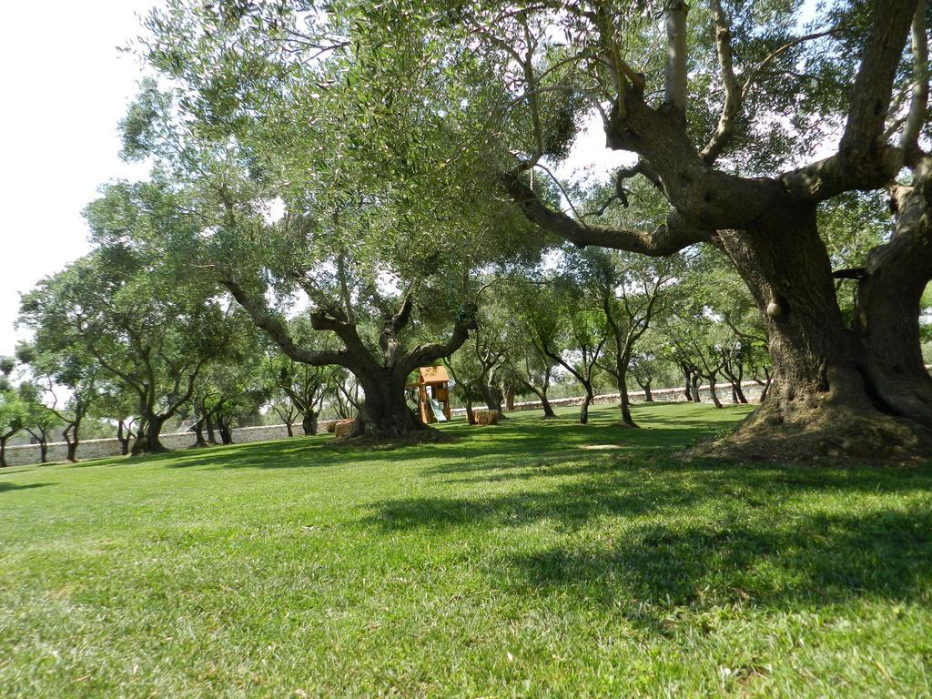 I Trulli Del Nonno Michele ξενώνας Αλμπερομπέλο Εξωτερικό φωτογραφία