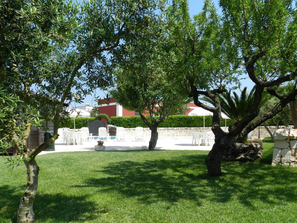 I Trulli Del Nonno Michele ξενώνας Αλμπερομπέλο Εξωτερικό φωτογραφία